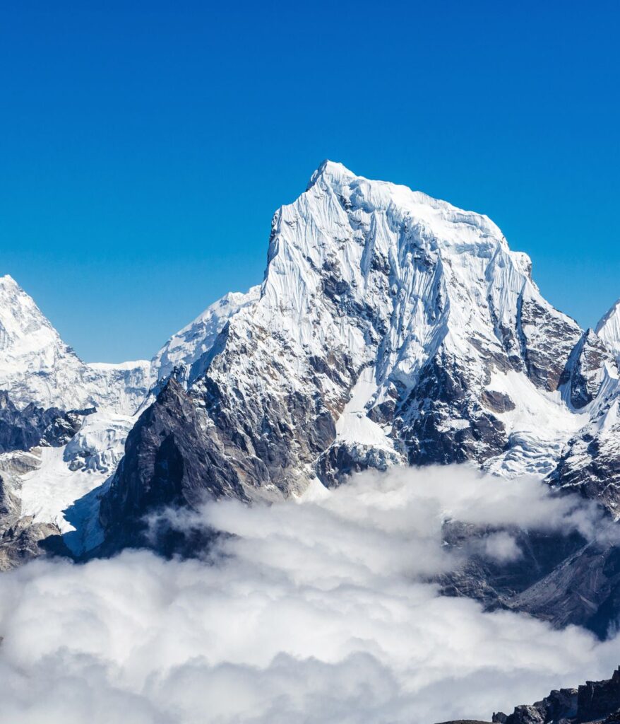 Home untitled design (12)