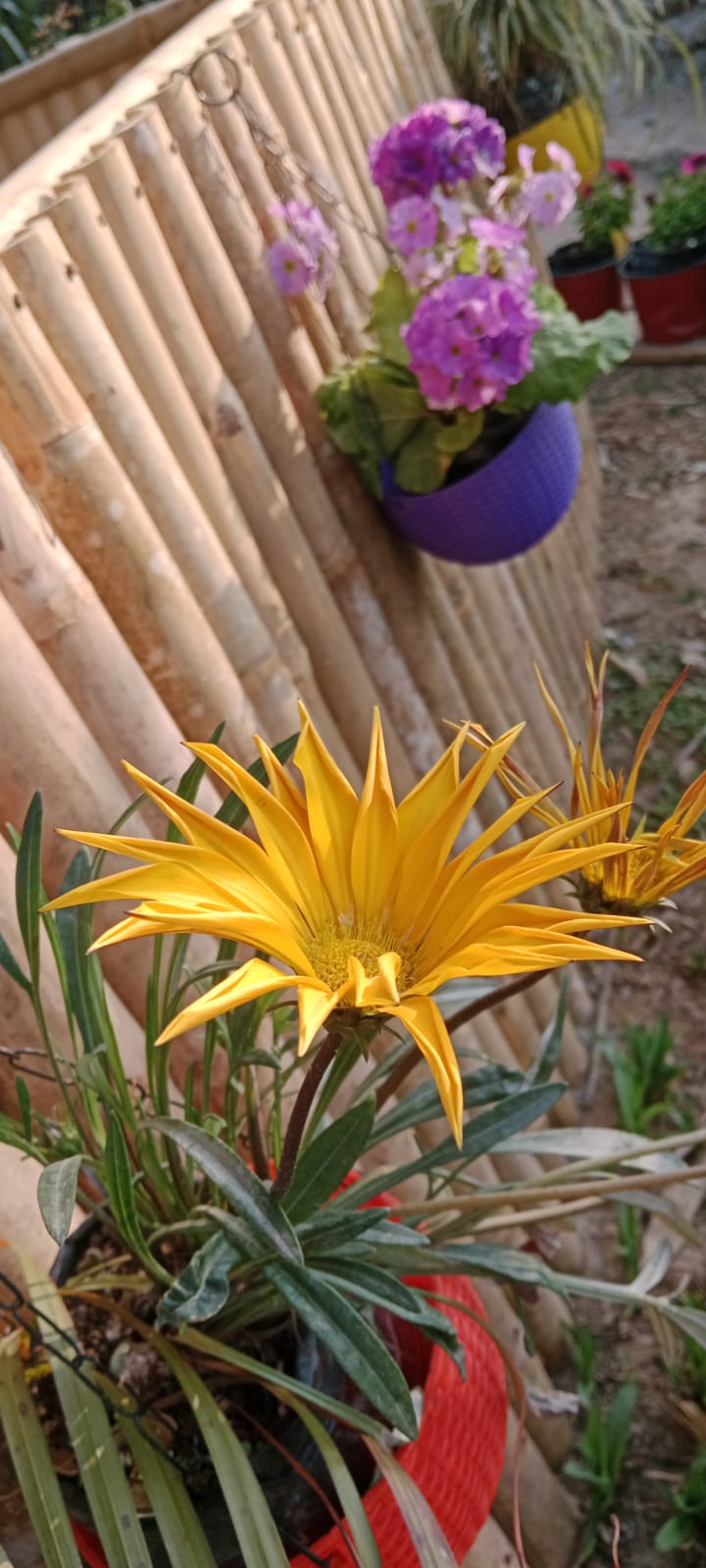 whatsapp image 2026 04 02 at 3.06.42 pm (1)