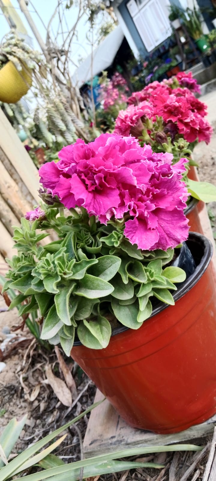 whatsapp image 2026 04 02 at 3.06.42 pm