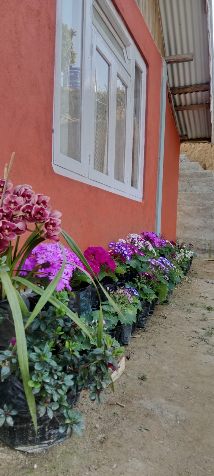 whatsapp image 2026 04 02 at 3.06.43 pm (1)